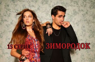 Зимородок 15 серия
